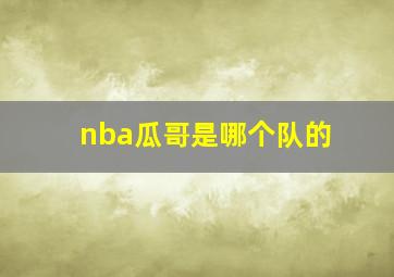 nba瓜哥是哪个队的