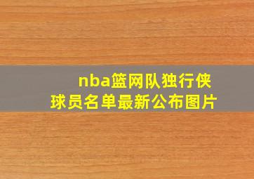 nba篮网队独行侠球员名单最新公布图片