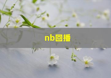 nb回播