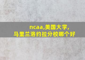 ncaa,美国大学,马里兰洛约拉分校哪个好