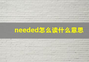 needed怎么读什么意思