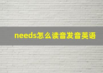 needs怎么读音发音英语