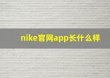 nike官网app长什么样