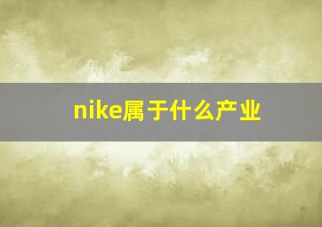 nike属于什么产业