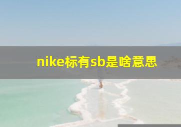 nike标有sb是啥意思