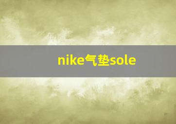 nike气垫sole