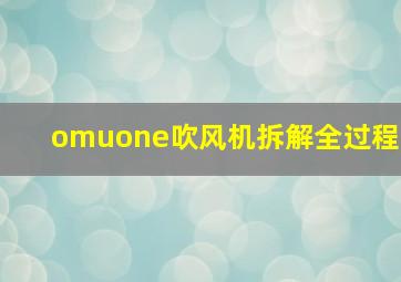 omuone吹风机拆解全过程