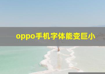 oppo手机字体能变巨小