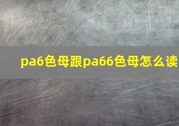 pa6色母跟pa66色母怎么读