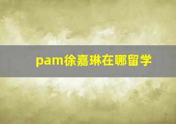 pam徐嘉琳在哪留学