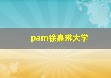 pam徐嘉琳大学