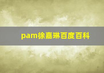 pam徐嘉琳百度百科