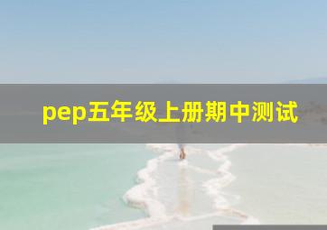 pep五年级上册期中测试