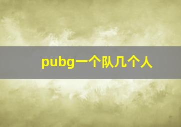 pubg一个队几个人