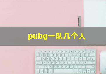 pubg一队几个人