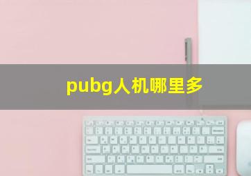 pubg人机哪里多