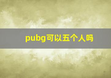 pubg可以五个人吗