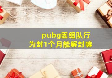 pubg因组队行为封1个月能解封嘛