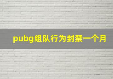 pubg组队行为封禁一个月