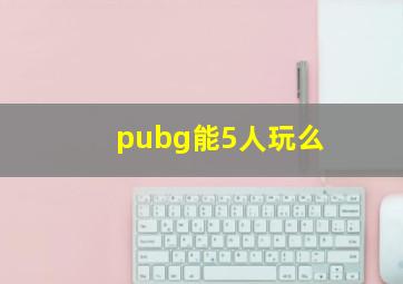 pubg能5人玩么