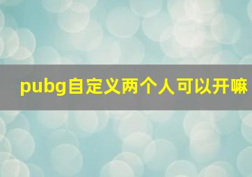 pubg自定义两个人可以开嘛