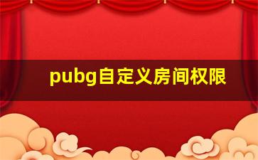 pubg自定义房间权限