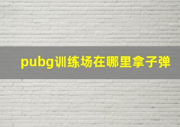 pubg训练场在哪里拿子弹