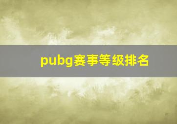 pubg赛事等级排名