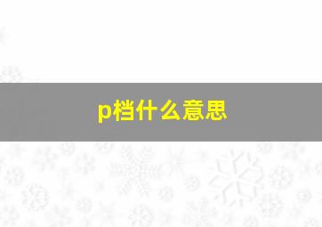 p档什么意思