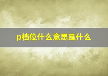 p档位什么意思是什么