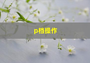 p档操作