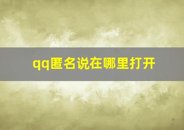 qq匿名说在哪里打开