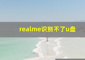 realme识别不了u盘