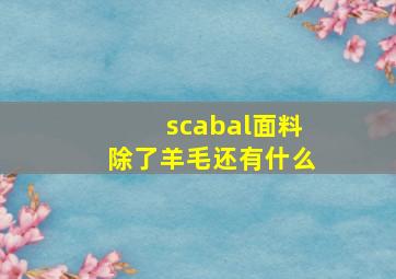 scabal面料除了羊毛还有什么