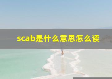 scab是什么意思怎么读