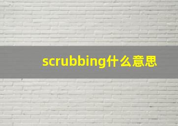 scrubbing什么意思