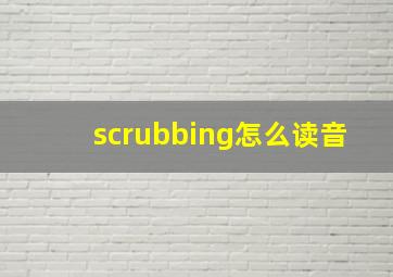 scrubbing怎么读音