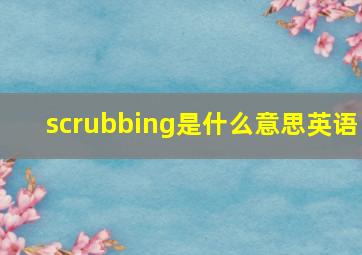 scrubbing是什么意思英语