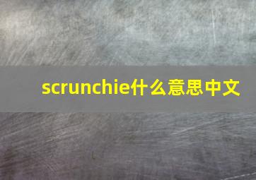 scrunchie什么意思中文