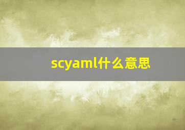 scyaml什么意思