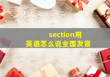 section用英语怎么说全国发音