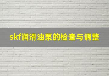 skf润滑油泵的检查与调整