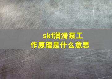 skf润滑泵工作原理是什么意思