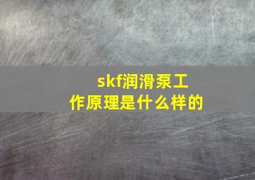 skf润滑泵工作原理是什么样的