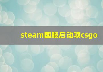 steam国服启动项csgo