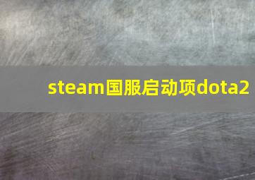 steam国服启动项dota2