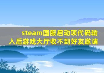 steam国服启动项代码输入后游戏大厅收不到好友邀请