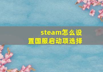 steam怎么设置国服启动项选择