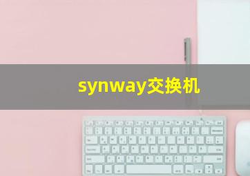 synway交换机