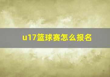 u17篮球赛怎么报名